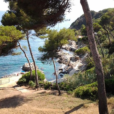 Apartamento Sol- Fanals Lägenhet Lloret de Mar Exteriör bild