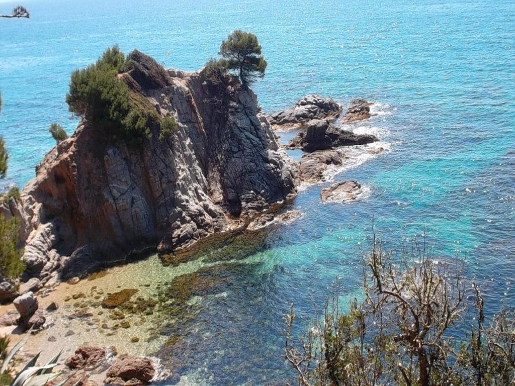 Apartamento Sol- Fanals Lägenhet Lloret de Mar Exteriör bild