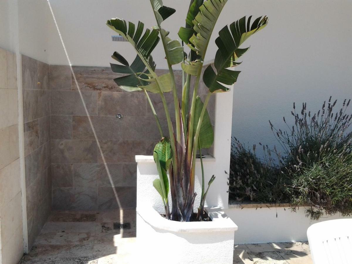 Apartamento Sol- Fanals Lägenhet Lloret de Mar Exteriör bild
